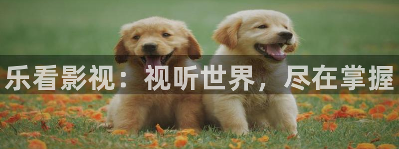 国产精品嫩草影院